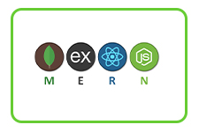 Mern Stack AI